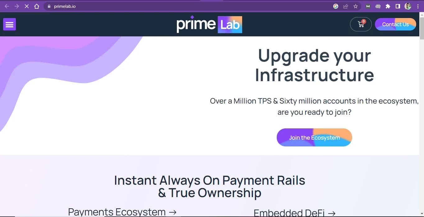 Archived Prime Lab website introducing its payment infrastructure.